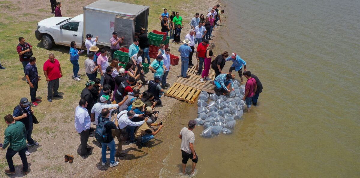 Arranca el alcalde Juan de Dios Gámez el Programa de Repoblamiento de Embalses