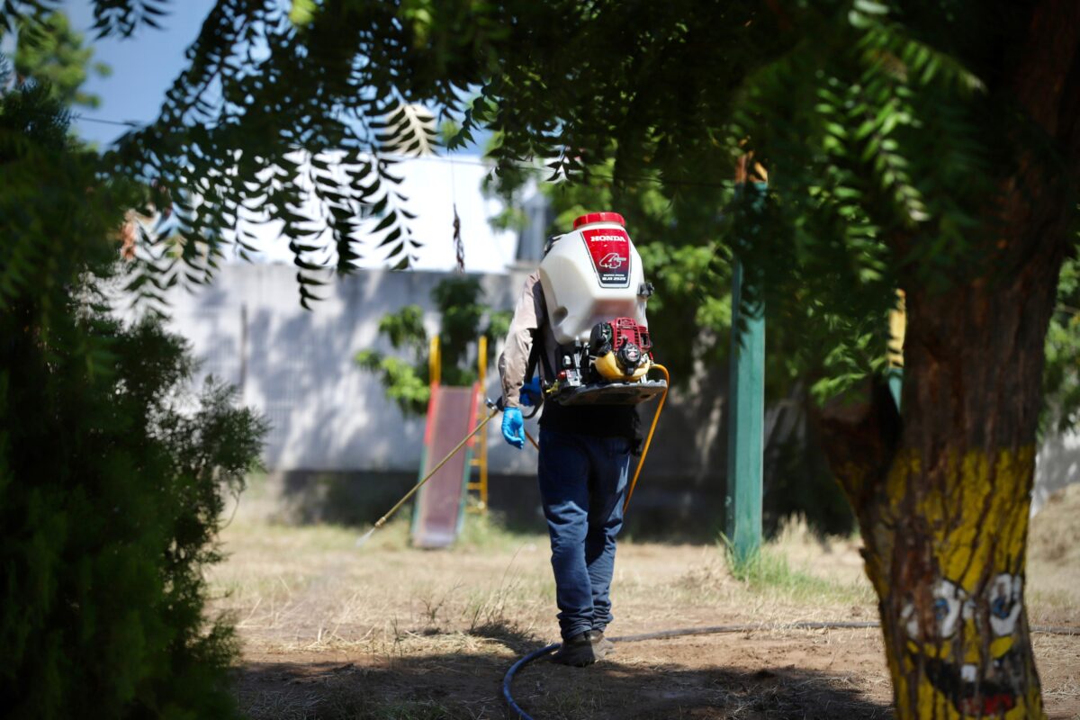 Aplica la Secretaría de Salud más de 600 mil acciones contra el dengue en hogares de Sinaloa