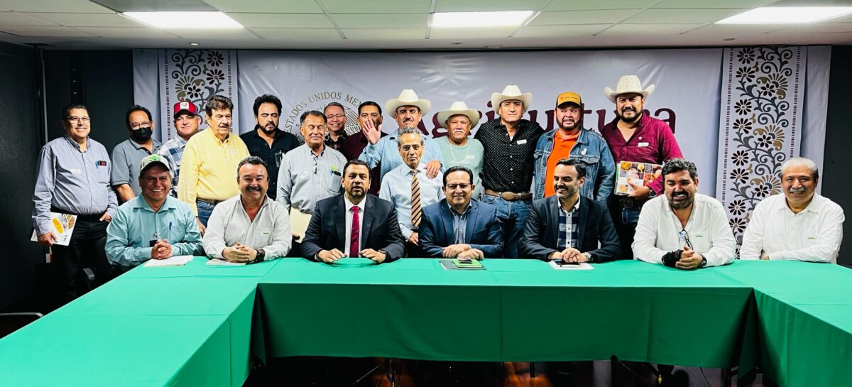 Precio base de 45 dólares por tonelada para el trigo de Sinaloa y Sonora, anuncia Ismael Bello