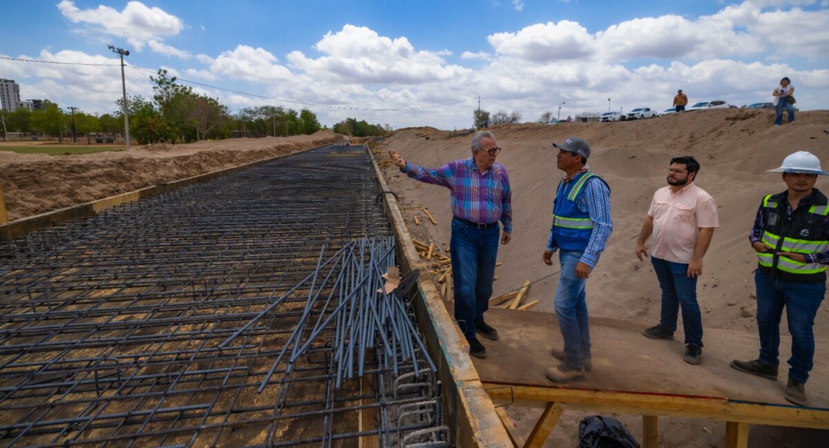 Se protege la flora y fauna en obras del Malecón Margen Izquierdo en Culiacán